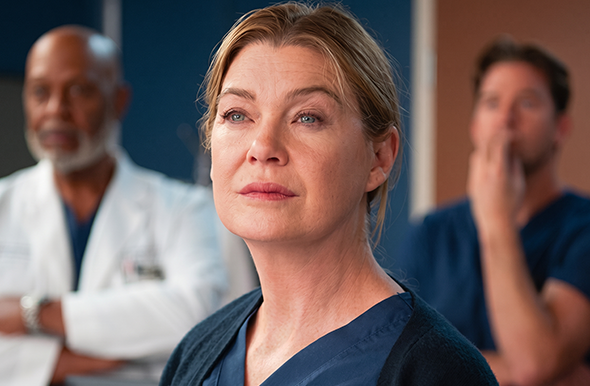 Greys Anatomy